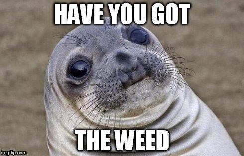 Awkward Moment Sealion | HAVE YOU GOT THE WEED | image tagged in memes,awkward moment sealion | made w/ Imgflip meme maker