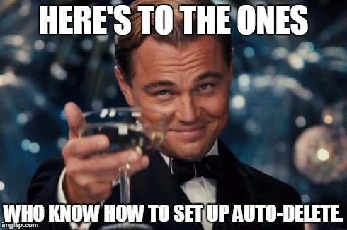 Leonardo Dicaprio Cheers Meme | HERE'S TO THE ONES WHO KNOW HOW TO SET UP AUTO-DELETE. | image tagged in memes,leonardo dicaprio cheers | made w/ Imgflip meme maker