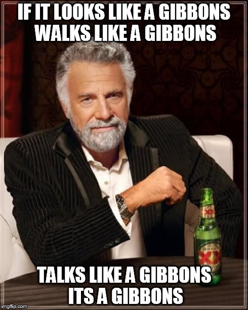 The Most Interesting Man In The World Meme | IF IT LOOKS LIKE A GIBBONS WALKS LIKE A GIBBONS TALKS LIKE A GIBBONS ITS A GIBBONS | image tagged in memes,the most interesting man in the world | made w/ Imgflip meme maker