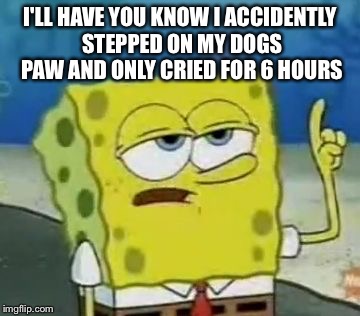 I'll Have You Know Spongebob | I'LL HAVE YOU KNOW I ACCIDENTLY STEPPED ON MY DOGS PAW AND ONLY CRIED FOR 6 HOURS | image tagged in memes,ill have you know spongebob | made w/ Imgflip meme maker