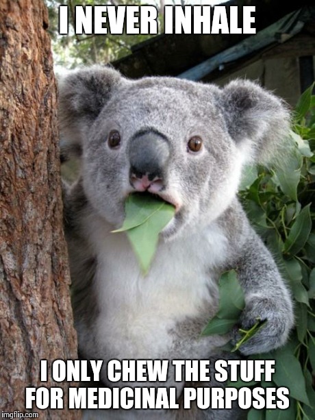 Surprised Koala | I NEVER INHALE I ONLY CHEW THE STUFF FOR MEDICINAL PURPOSES | image tagged in memes,surprised koala | made w/ Imgflip meme maker