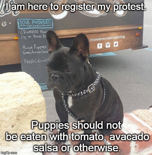 I protest | I am here to register my protest. Puppies should not be eaten with tomato, avacado salsa or otherwise. | image tagged in dogs,funny,memes | made w/ Imgflip meme maker