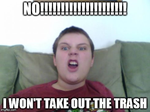 lazy angry loud kid | NO!!!!!!!!!!!!!!!!!!!!! I WON'T TAKE OUT THE TRASH | image tagged in lazy angry loud kid | made w/ Imgflip meme maker