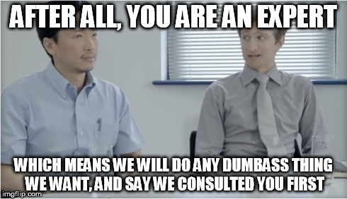 Story of my life in IT | AFTER ALL, YOU ARE AN EXPERT WHICH MEANS WE WILL DO ANY DUMBASS THING WE WANT, AND SAY WE CONSULTED YOU FIRST | image tagged in memes | made w/ Imgflip meme maker