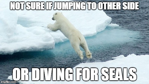 fry polar bear | NOT SURE IF JUMPING TO OTHER SIDE OR DIVING FOR SEALS | image tagged in not sure if,polar bear | made w/ Imgflip meme maker