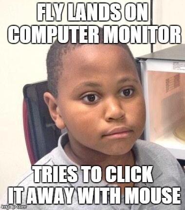 Minor Mistake Marvin Meme | FLY LANDS ON COMPUTER MONITOR TRIES TO CLICK IT AWAY WITH MOUSE | image tagged in memes,minor mistake marvin | made w/ Imgflip meme maker