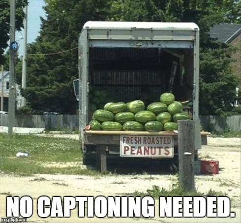 NO CAPTIONING NEEDED. | image tagged in watermelons | made w/ Imgflip meme maker