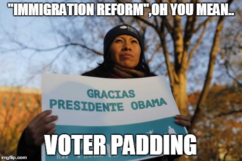 Immigration voter padding | "IMMIGRATION REFORM",OH YOU MEAN.. VOTER PADDING | image tagged in democratic party voter padding | made w/ Imgflip meme maker