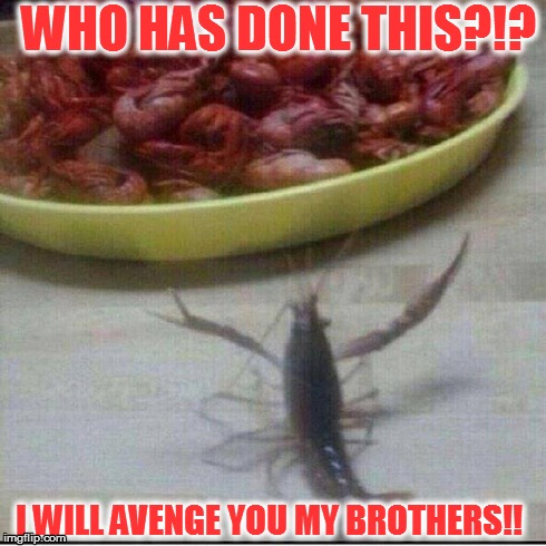 WHO HAS DONE THIS?!? I WILL AVENGE YOU MY BROTHERS!! | image tagged in revenge | made w/ Imgflip meme maker