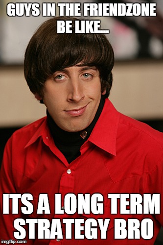 Howard | GUYS IN THE FRIENDZONE BE LIKE... ITS A LONG TERM STRATEGY BRO | image tagged in howard | made w/ Imgflip meme maker