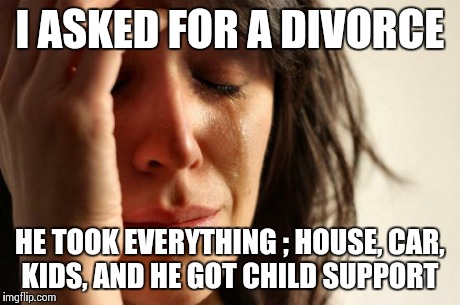 First World Problems | I ASKED FOR A DIVORCE HE TOOK EVERYTHING ; HOUSE, CAR, KIDS, AND HE GOT CHILD SUPPORT | image tagged in memes,first world problems | made w/ Imgflip meme maker