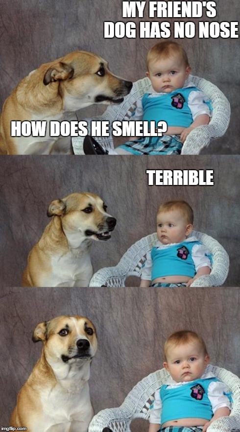 Dad Joke Dog Meme | MY FRIEND'S DOG HAS NO NOSE TERRIBLE HOW DOES HE SMELL? | image tagged in memes,dad joke dog | made w/ Imgflip meme maker
