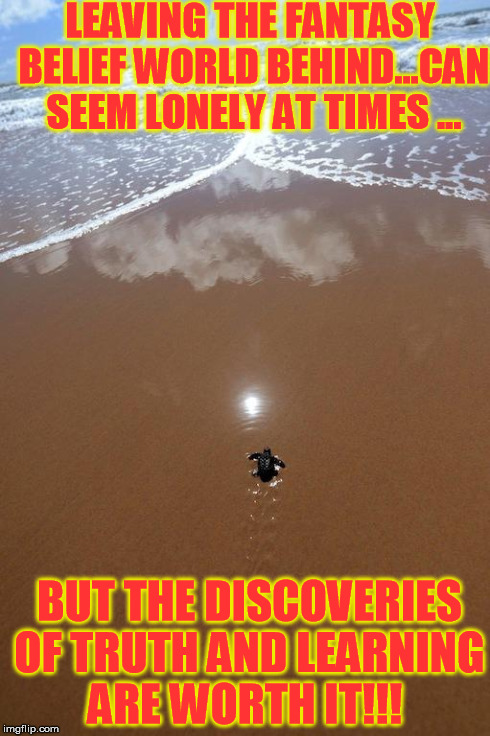 lone turtle | LEAVING THE FANTASY BELIEF WORLD BEHIND...CAN SEEM LONELY AT TIMES ... BUT THE DISCOVERIES OF TRUTH AND LEARNING ARE WORTH IT!!! | image tagged in lone turtle | made w/ Imgflip meme maker