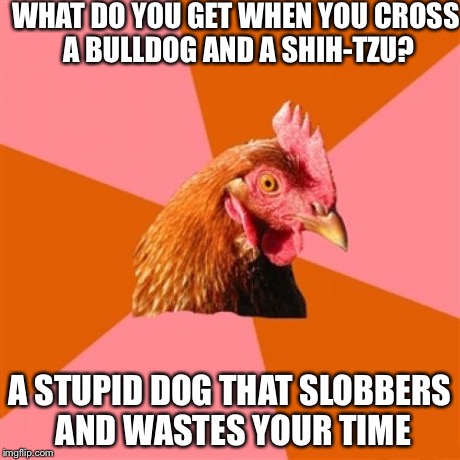 Anti Joke Chicken | WHAT DO YOU GET WHEN YOU CROSS A BULLDOG AND A SHIH-TZU? A STUPID DOG THAT SLOBBERS AND WASTES YOUR TIME | image tagged in memes,anti joke chicken | made w/ Imgflip meme maker