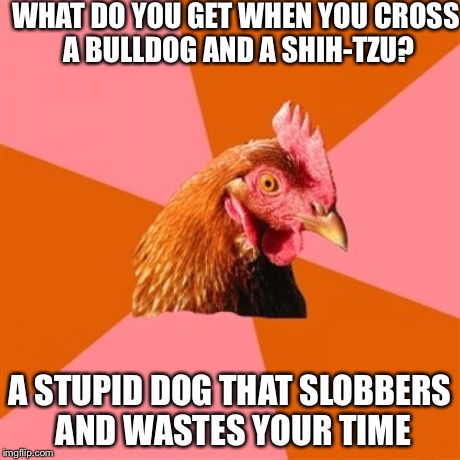 Anti Joke Chicken Meme | WHAT DO YOU GET WHEN YOU CROSS A BULLDOG AND A SHIH-TZU? A STUPID DOG THAT SLOBBERS AND WASTES YOUR TIME | image tagged in memes,anti joke chicken | made w/ Imgflip meme maker