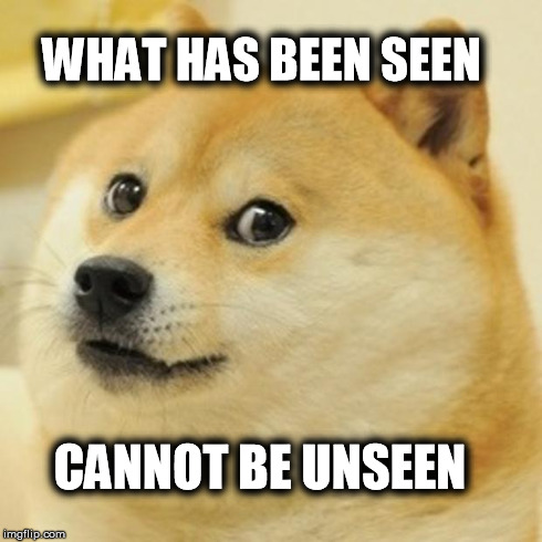 Doge | WHAT HAS BEEN SEEN CANNOT BE UNSEEN | image tagged in memes,doge | made w/ Imgflip meme maker