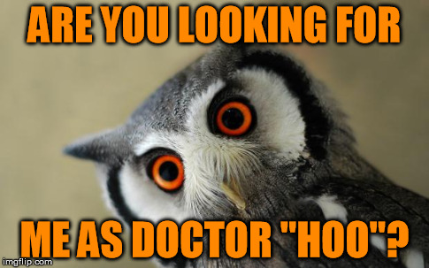 For Doctor Who fans:  | ARE YOU LOOKING FOR ME AS DOCTOR "HOO"? | image tagged in oooooooooooh really,doctor who | made w/ Imgflip meme maker