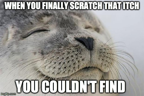 Satisfied Seal | WHEN YOU FINALLY SCRATCH THAT ITCH YOU COULDN'T FIND | image tagged in memes,satisfied seal,AdviceAnimals | made w/ Imgflip meme maker