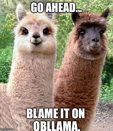 Blame it on Obama llamas  | GO AHEAD... BLAME IT ON OBLLAMA. | image tagged in llama,obama,puns | made w/ Imgflip meme maker