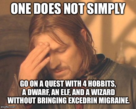 Frustrated Boromir | ONE DOES NOT SIMPLY GO ON A QUEST WITH 4 HOBBITS, A DWARF, AN ELF, AND A WIZARD WITHOUT BRINGING EXCEDRIN MIGRAINE. | image tagged in memes,frustrated boromir | made w/ Imgflip meme maker