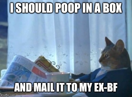I Should Buy A Boat Cat | I SHOULD POOP IN A BOX AND MAIL IT TO MY EX-BF | image tagged in memes,i should buy a boat cat | made w/ Imgflip meme maker