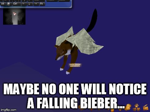 MAYBE NO ONE WILL NOTICE A FALLING BIEBER... | made w/ Imgflip meme maker
