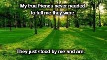My true friends never needed to tell me they were. They just stood by me and are. | image tagged in friendzone | made w/ Imgflip meme maker