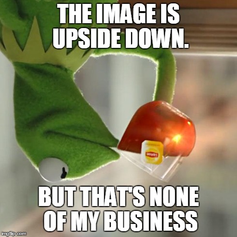 But That's None Of My Business | THE IMAGE IS UPSIDE DOWN. BUT THAT'S NONE OF MY BUSINESS | image tagged in memes,but thats none of my business,kermit the frog | made w/ Imgflip meme maker