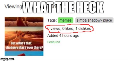 0 views 1 dislike  | WHAT THE HECK | image tagged in seems legit,what the hell,downvote fairy | made w/ Imgflip meme maker