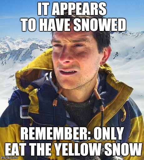 Bear Grylls | IT APPEARS TO HAVE SNOWED REMEMBER: ONLY EAT THE YELLOW SNOW | image tagged in memes,bear grylls | made w/ Imgflip meme maker
