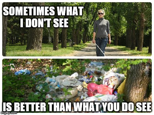 See the good | SOMETIMES WHAT I DON'T SEE IS BETTER THAN WHAT YOU DO SEE | image tagged in blind | made w/ Imgflip meme maker