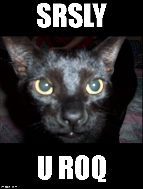 Srsly byron the cat | SRSLY U ROQ | image tagged in srsly byron the cat | made w/ Imgflip meme maker