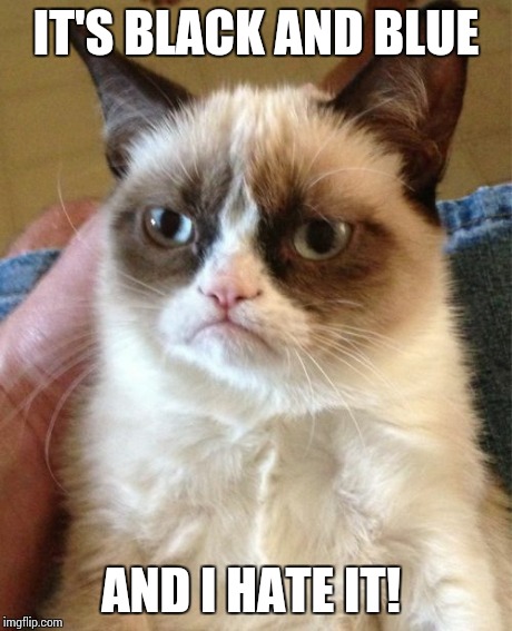 Grumpy Cat Meme | IT'S BLACK AND BLUE AND I HATE IT! | image tagged in memes,grumpy cat | made w/ Imgflip meme maker
