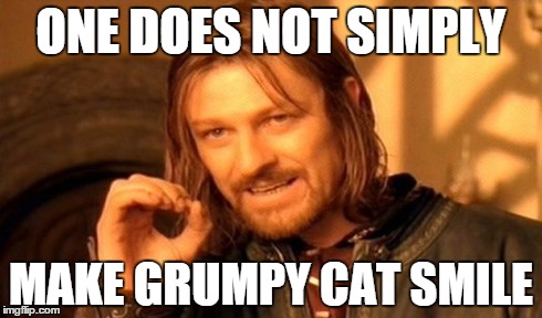 One Does Not Simply | ONE DOES NOT SIMPLY MAKE GRUMPY CAT SMILE | image tagged in memes,one does not simply | made w/ Imgflip meme maker