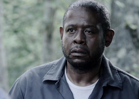 High Quality Forest Whitaker Blank Meme Template