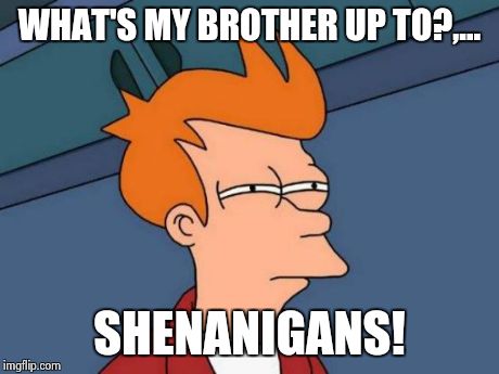 Futurama Fry Meme | WHAT'S MY BROTHER UP TO?,... SHENANIGANS! | image tagged in memes,futurama fry | made w/ Imgflip meme maker