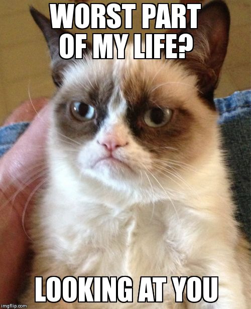 Grumpy Cat Meme | WORST PART OF MY LIFE? LOOKING AT YOU | image tagged in memes,grumpy cat | made w/ Imgflip meme maker