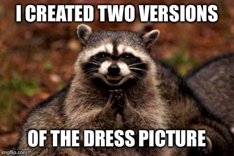 Evil Plotting Raccoon Meme | I CREATED TWO VERSIONS OF THE DRESS PICTURE | image tagged in memes,evil plotting raccoon,AdviceAnimals | made w/ Imgflip meme maker