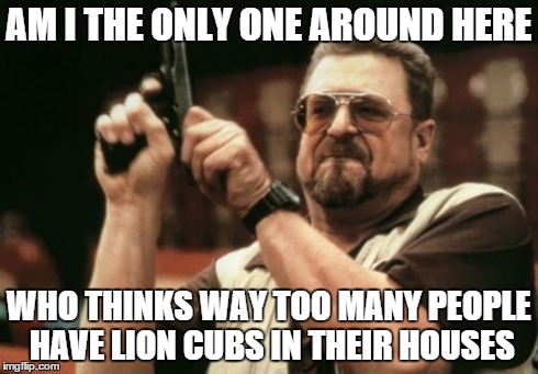 Am I The Only One Around Here Meme | AM I THE ONLY ONE AROUND HERE WHO THINKS WAY TOO MANY PEOPLE HAVE LION CUBS IN THEIR HOUSES | image tagged in memes,am i the only one around here | made w/ Imgflip meme maker
