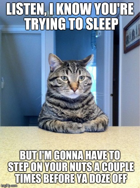 Take A Seat Cat | LISTEN, I KNOW YOU'RE TRYING TO SLEEP BUT I'M GONNA HAVE TO STEP ON YOUR NUTS A COUPLE TIMES BEFORE YA DOZE OFF | image tagged in memes,take a seat cat | made w/ Imgflip meme maker