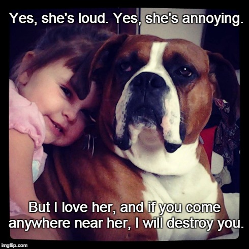 The protector | Yes, she's loud. Yes, she's annoying. But I love her, and if you come anywhere near her, I will destroy you. | image tagged in dogs,funny,memes,boxers | made w/ Imgflip meme maker