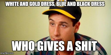 Too right Happy  | WHITE AND GOLD DRESS, BLUE AND BLACK DRESS WHO GIVES A SHIT | image tagged in white and gold,blue and black,who cares | made w/ Imgflip meme maker