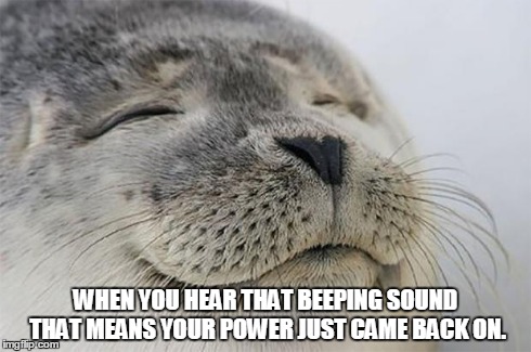 Satisfied Seal | WHEN YOU HEAR THAT BEEPING SOUND THAT MEANS YOUR POWER JUST CAME BACK ON. | image tagged in memes,satisfied seal | made w/ Imgflip meme maker