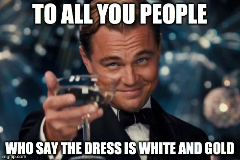 Leonardo Dicaprio Cheers | TO ALL YOU PEOPLE WHO SAY THE DRESS IS WHITE AND GOLD | image tagged in memes,leonardo dicaprio cheers | made w/ Imgflip meme maker