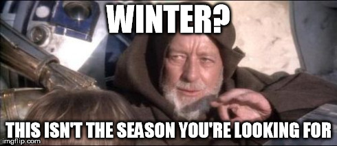 These Aren't The Droids You Were Looking For | WINTER? THIS ISN'T THE SEASON YOU'RE LOOKING FOR | image tagged in memes,these arent the droids you were looking for | made w/ Imgflip meme maker