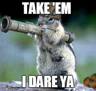 Bazooka Squirrel Meme | TAKE 'EM I DARE YA | image tagged in memes,bazooka squirrel | made w/ Imgflip meme maker
