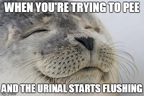 Satisfied Seal Meme | WHEN YOU'RE TRYING TO PEE AND THE URINAL STARTS FLUSHING | image tagged in memes,satisfied seal | made w/ Imgflip meme maker