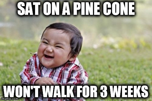 Evil Toddler Meme | SAT ON A PINE CONE WON'T WALK FOR 3 WEEKS | image tagged in memes,evil toddler | made w/ Imgflip meme maker