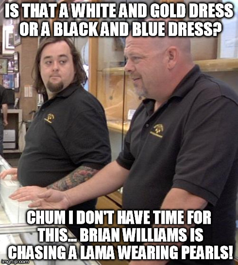 pawn stars rebuttal | IS THAT A WHITE AND GOLD DRESS OR A BLACK AND BLUE DRESS? CHUM I DON'T HAVE TIME FOR THIS...
BRIAN WILLIAMS IS CHASING A LAMA WEARING PEARLS | image tagged in pawn stars rebuttal | made w/ Imgflip meme maker