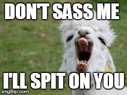 DON'T SASS ME I'LL SPIT ON YOU | image tagged in alpacaomega | made w/ Imgflip meme maker